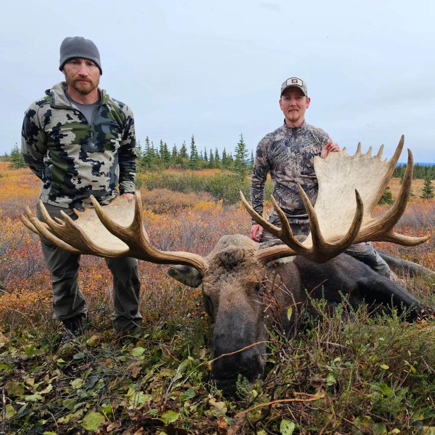 two hunters with moose in the field after the hunt