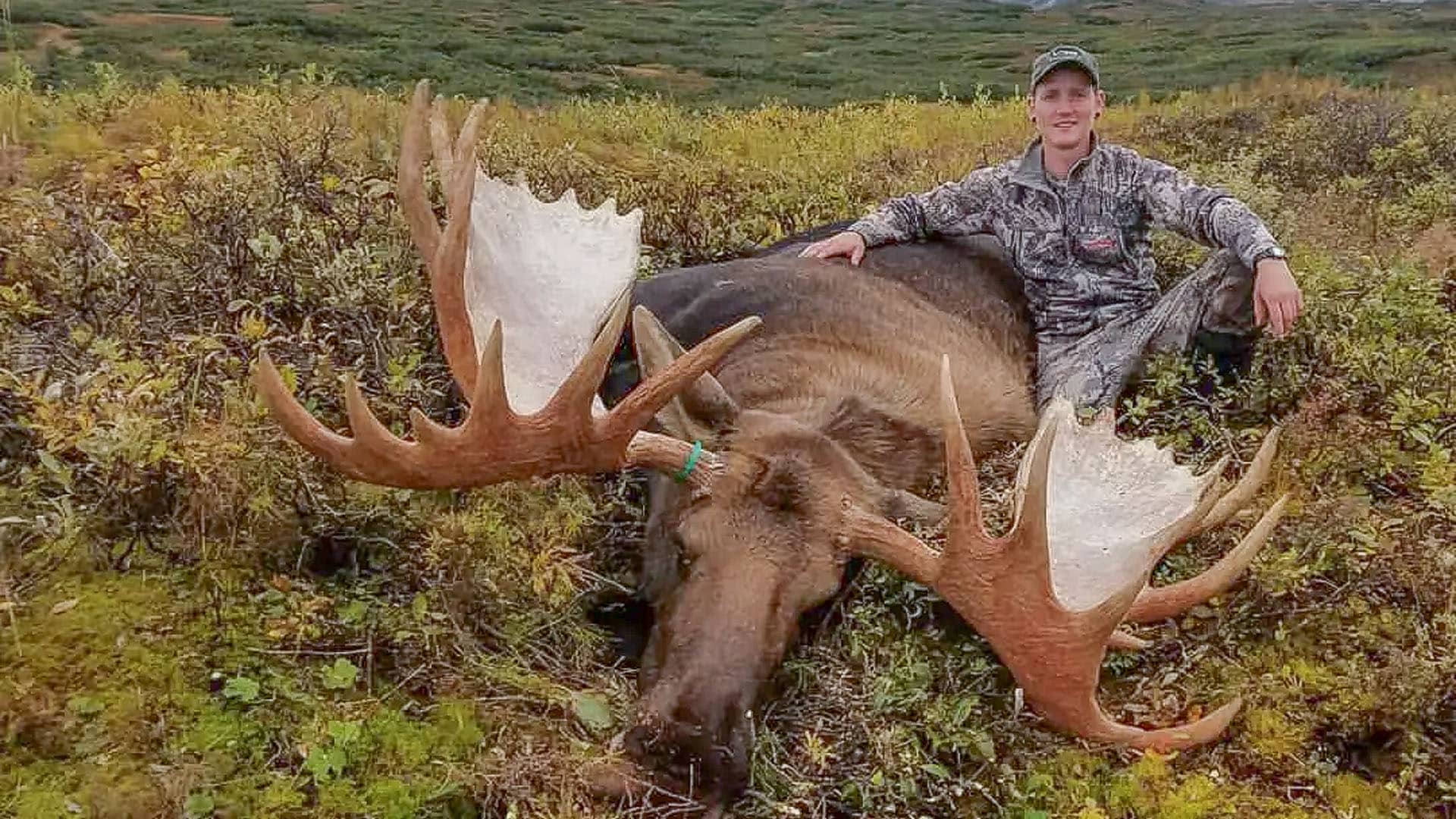 moose hunter in the field