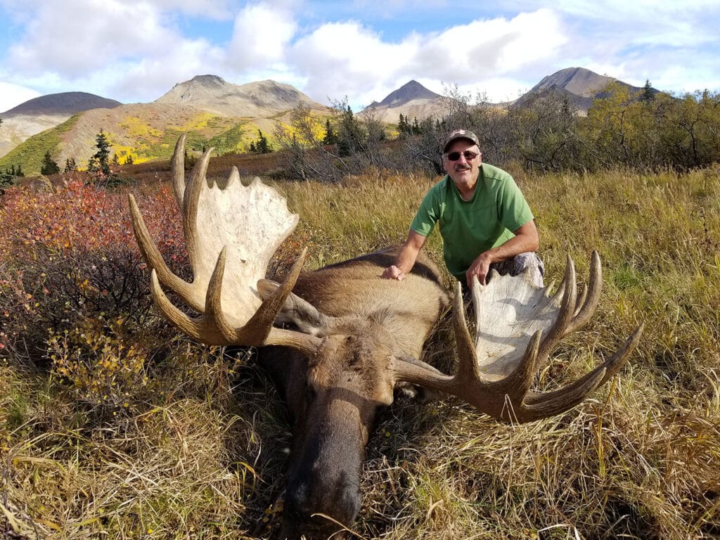 hunter with moose on a sunny day