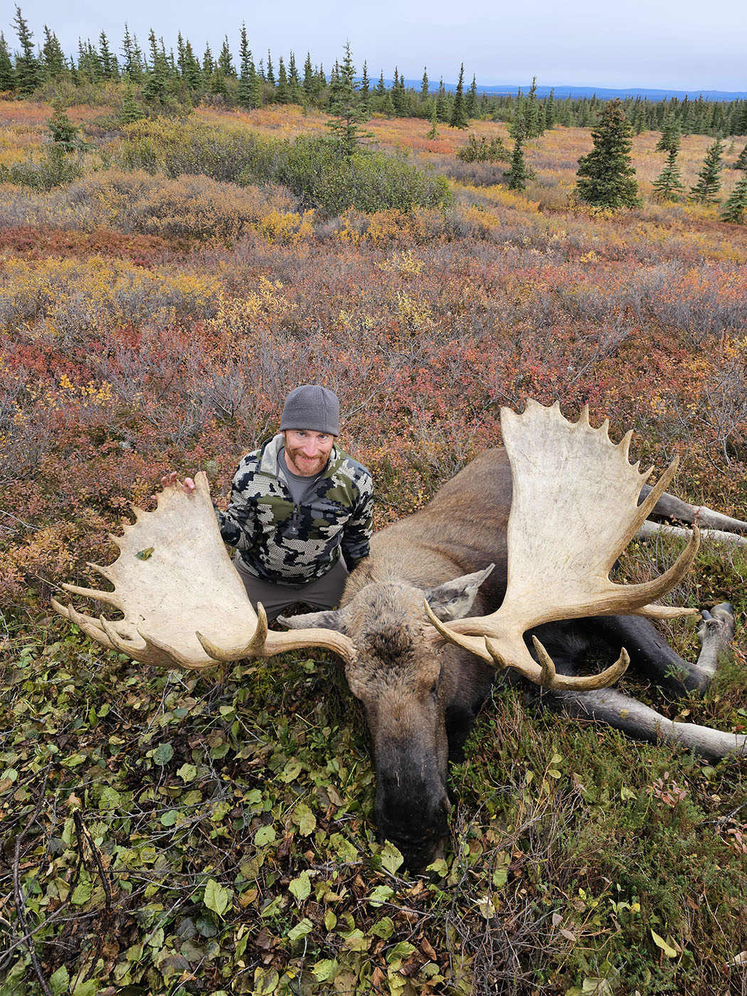 hunter with large moose