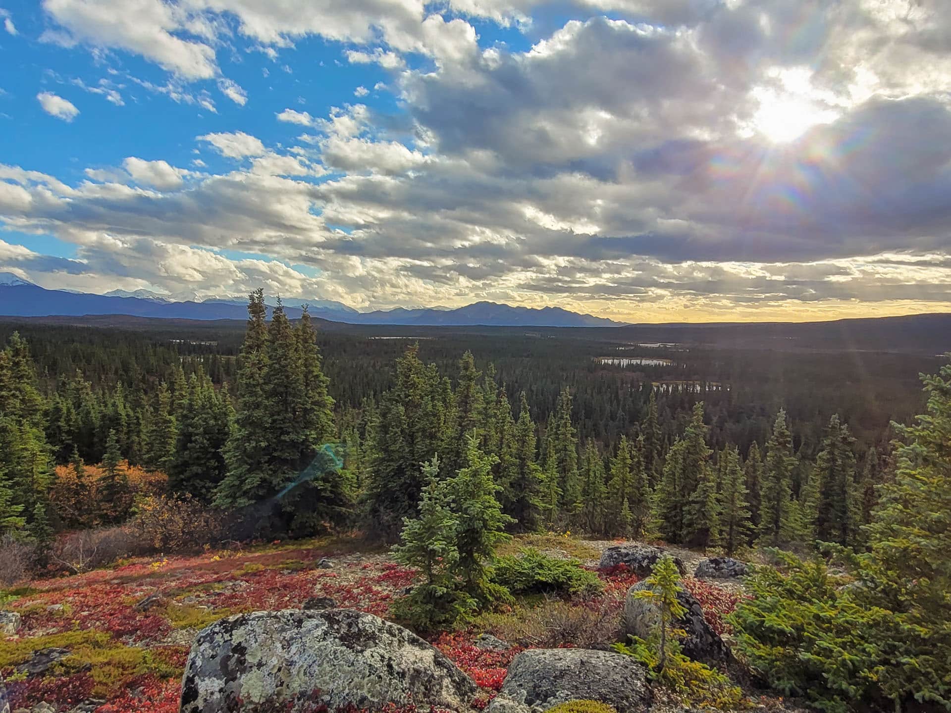 Alaska landscape